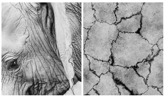 The ILO at 100: Showing its wrinkles or its cracks?